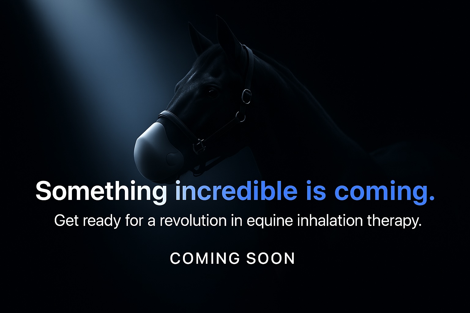 EquiAirLite - innovative horse inhaler reducing RAO symptoms by 78%